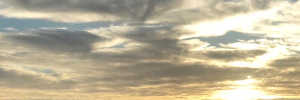 NachaaCastagna's profile banner image