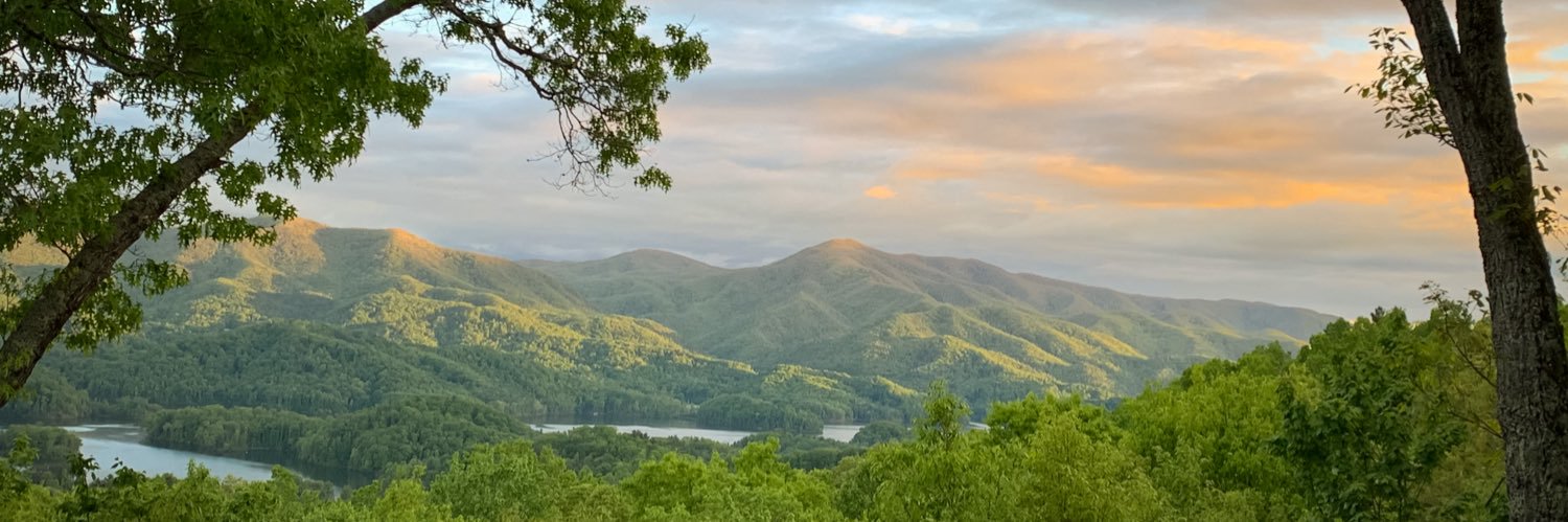 SouthernLady44's profile banner image
