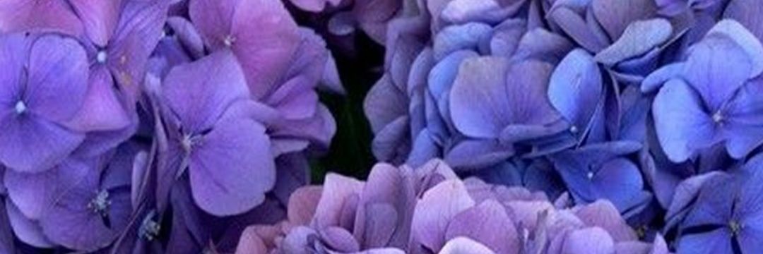 Emmn92's profile banner image