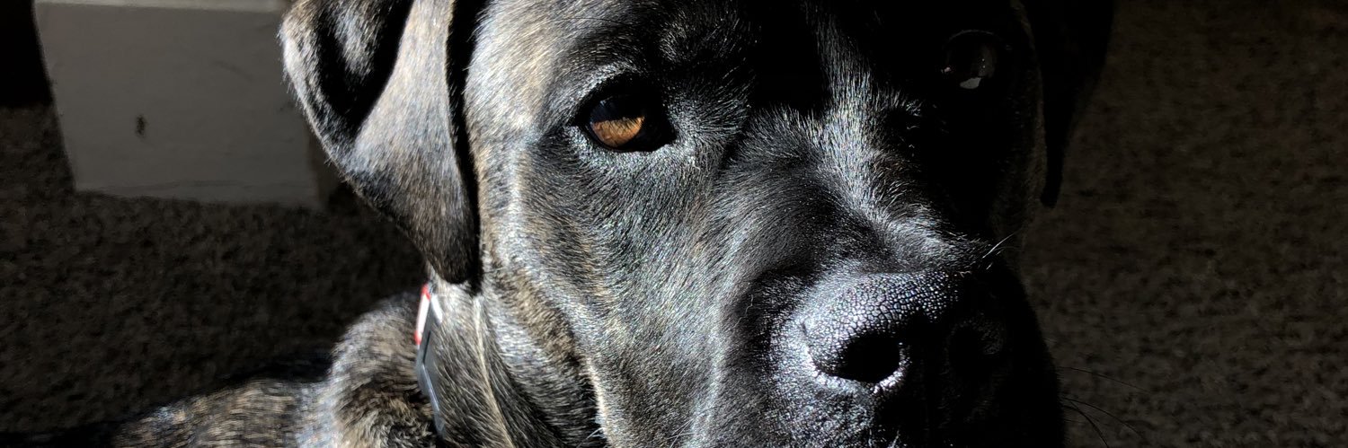 KaedynAdkins's profile banner image