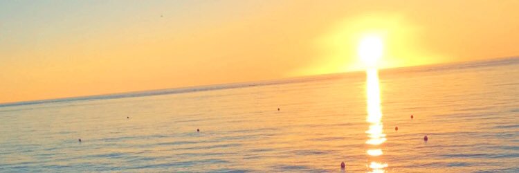 caropltr's profile banner image