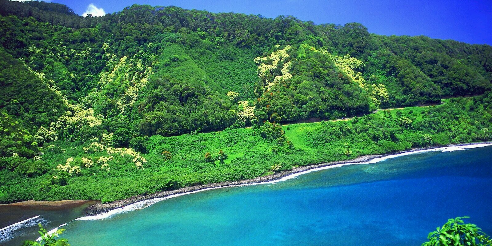 Kenya Robinson banner