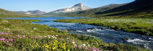 StigMyrseth Profile Banner