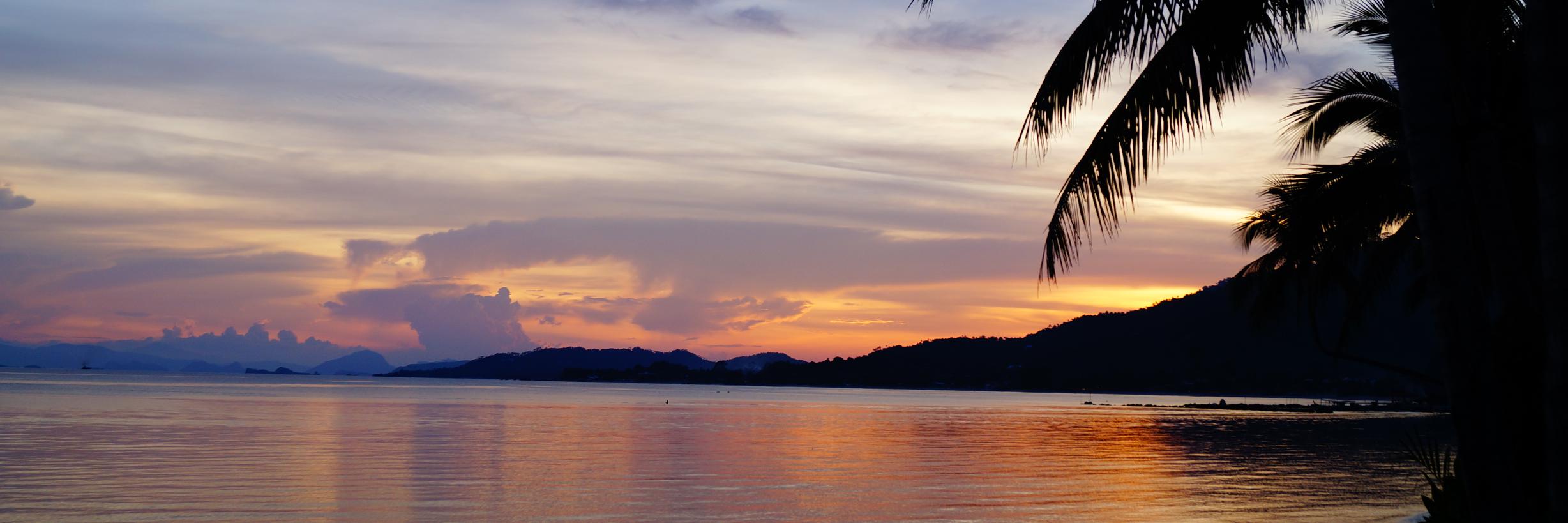 CarlyMcCord's profile banner image