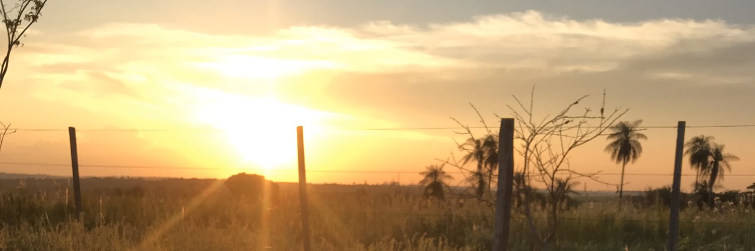 franmenfel's profile banner image