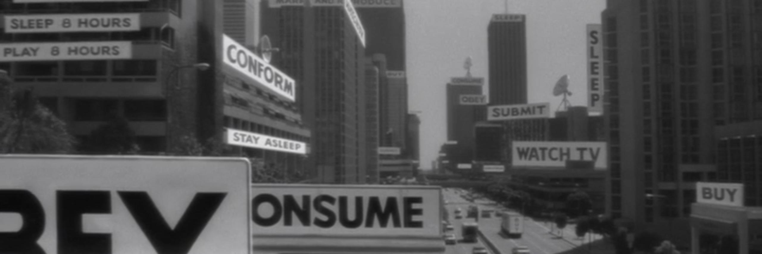 Snaps Provolone banner