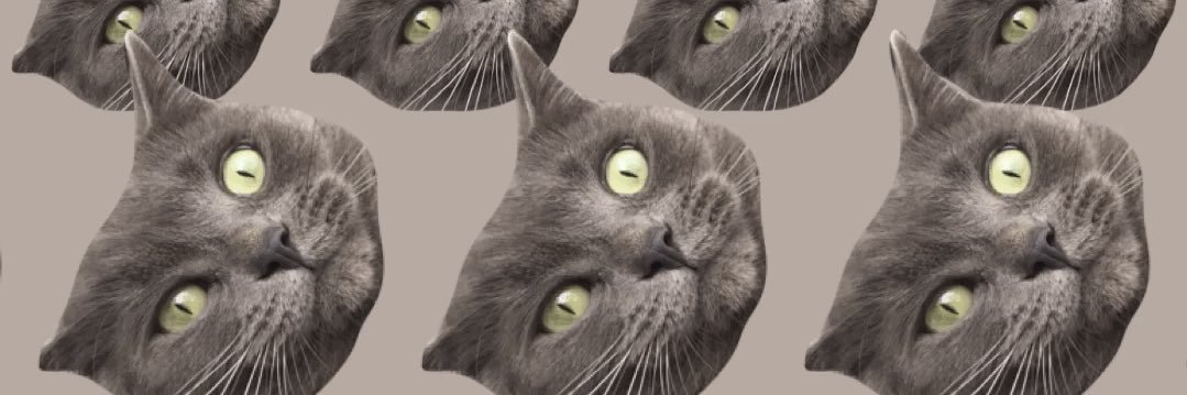 hubelanger's profile banner image