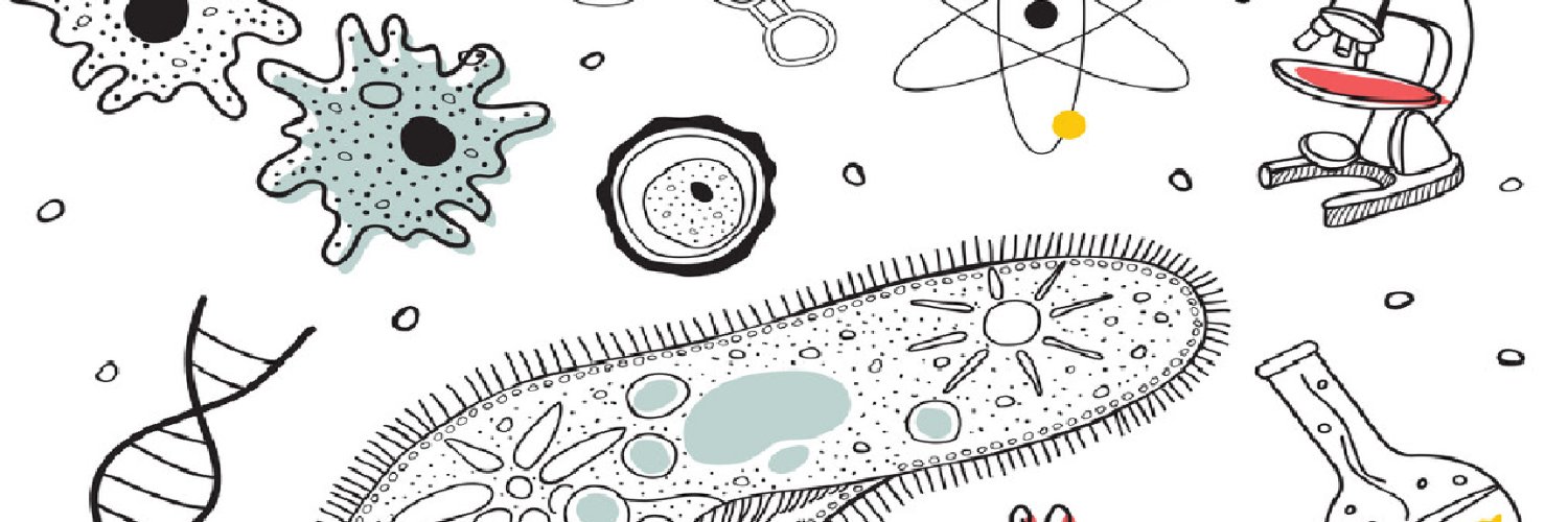 slbrom's profile banner image