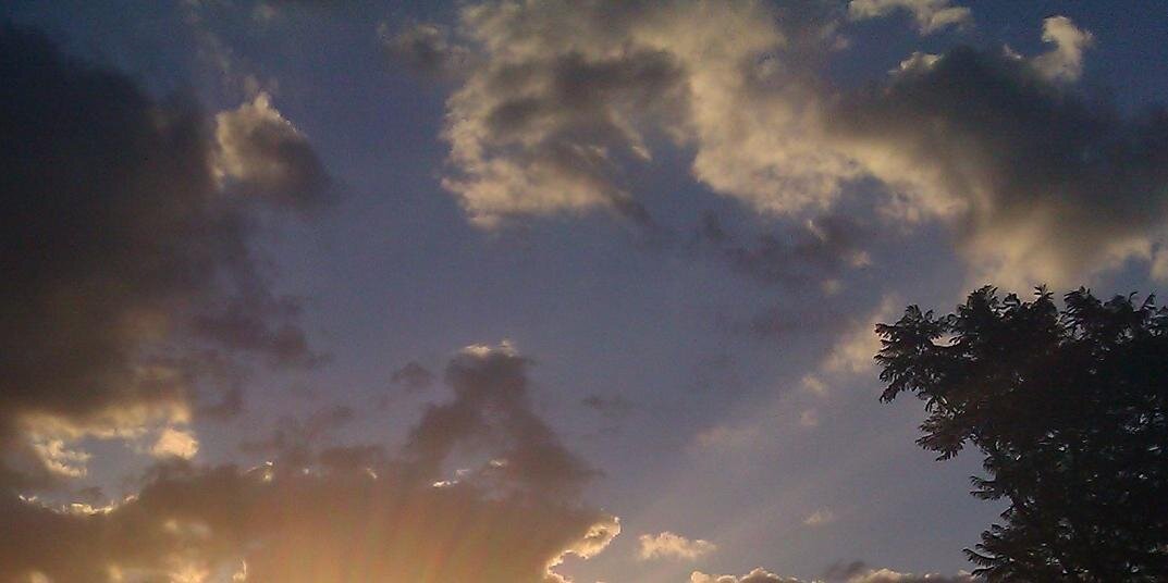 Jessica L. Beyer banner