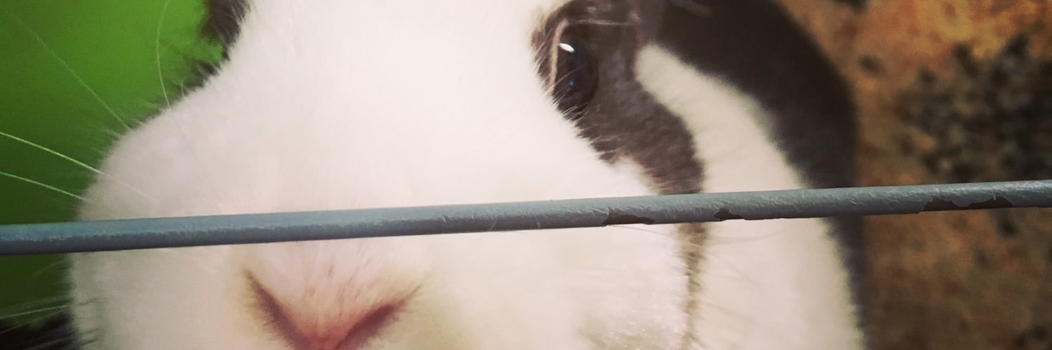CalaisMary's profile banner image