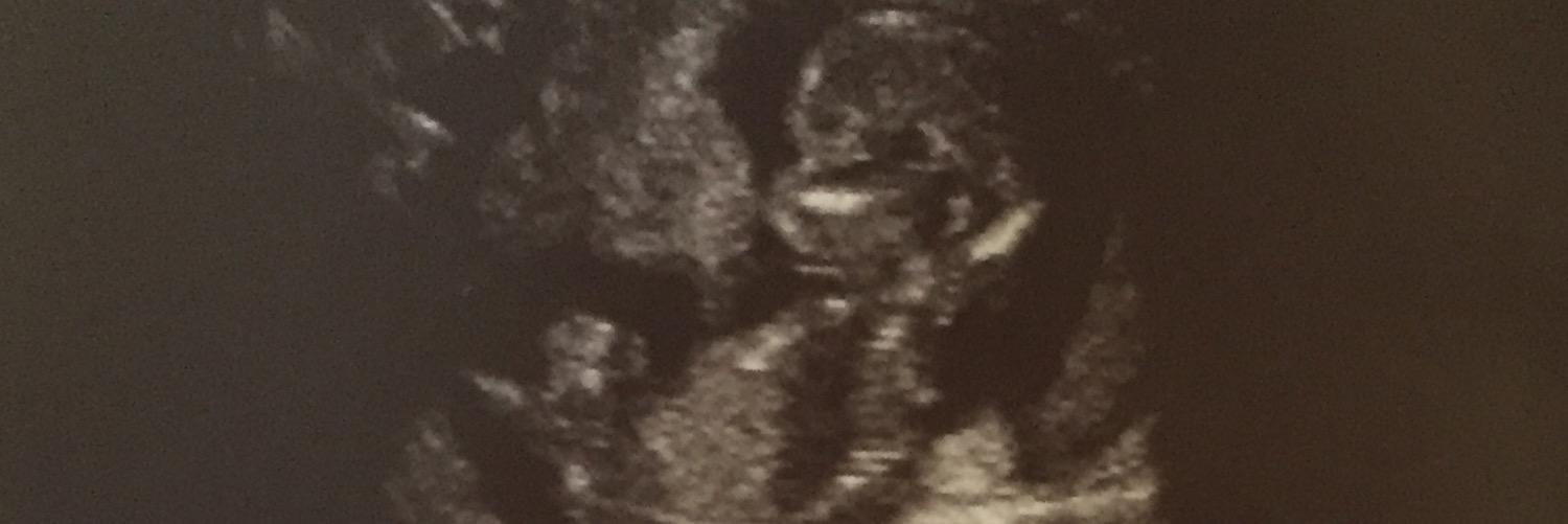 tobyleighann's profile banner image