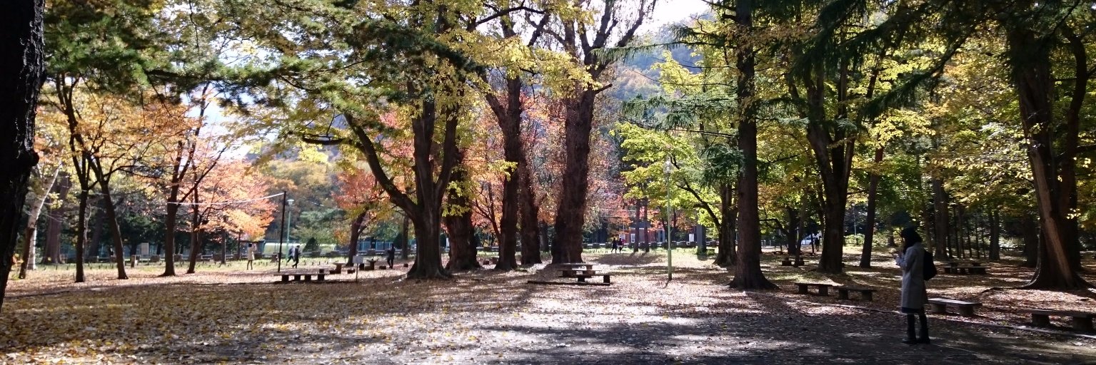 joe4643's profile banner image