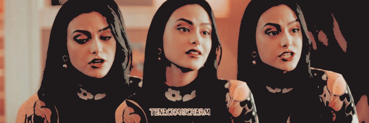 𝒱eronica ℒodge. banner