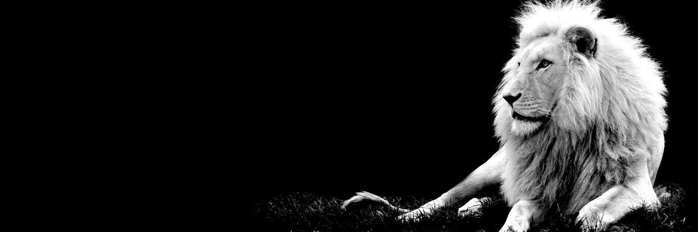 kkol_b's profile banner image
