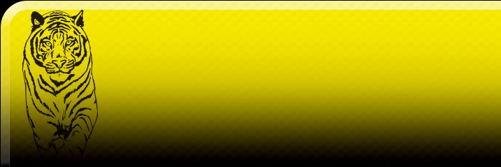 tygerAC's profile banner image
