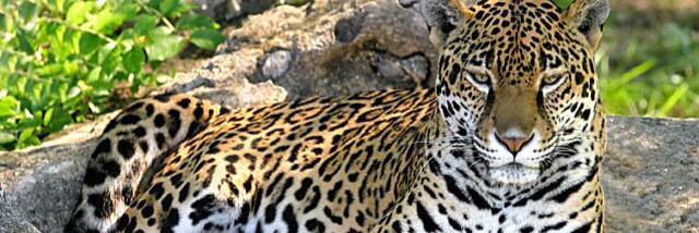 Duranto95's profile banner image