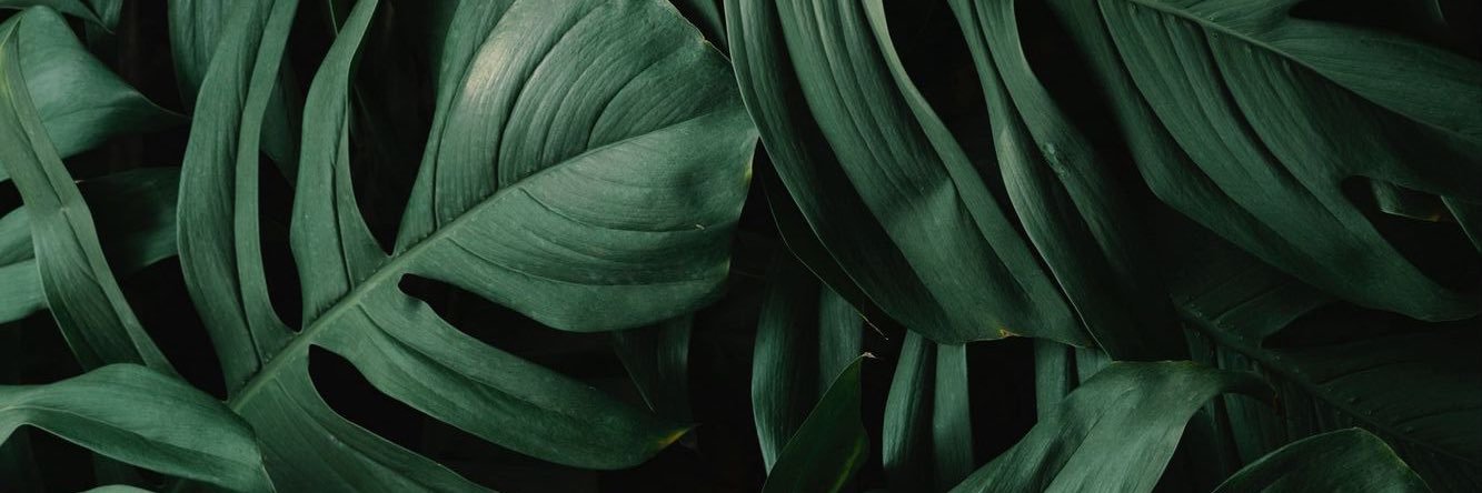 justhuaa's profile banner image