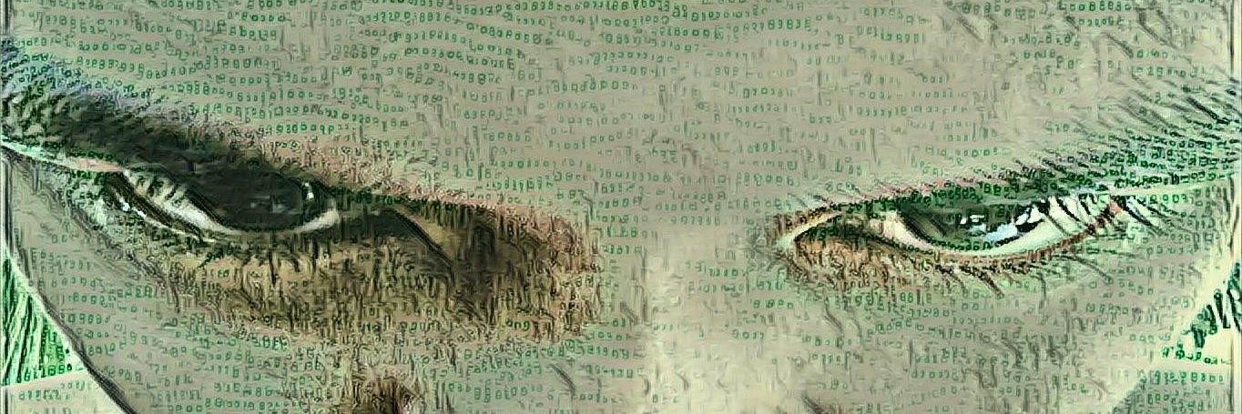guiritanegr's profile banner image