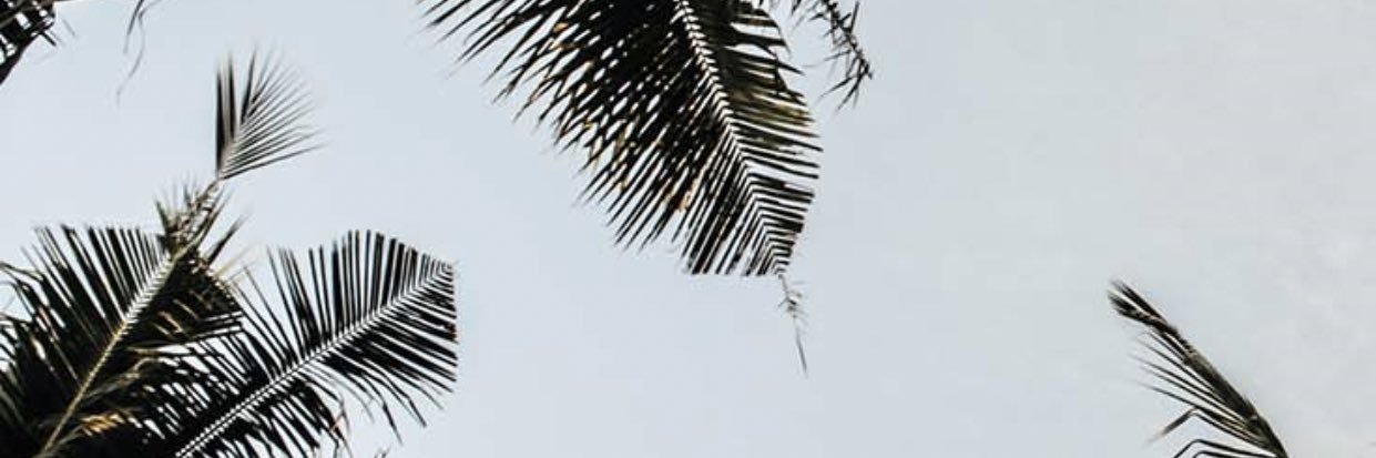 symone_williams's profile banner image