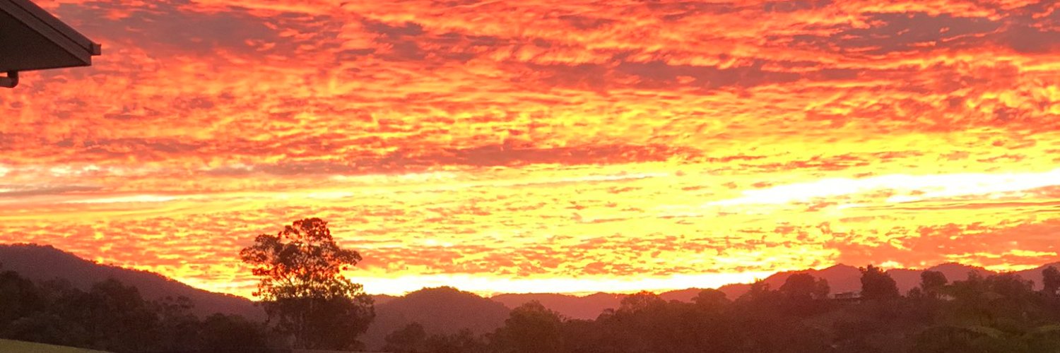 Mandy Salisbury banner