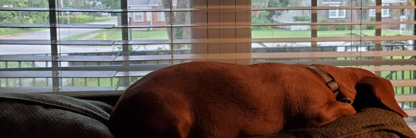 ejreports Profile Banner