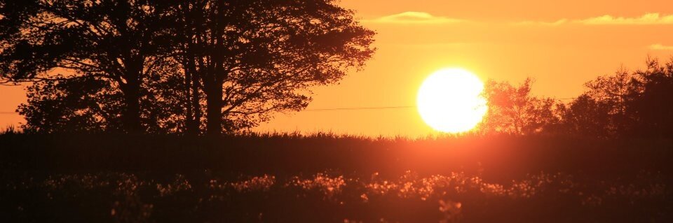 Christpher Huck banner