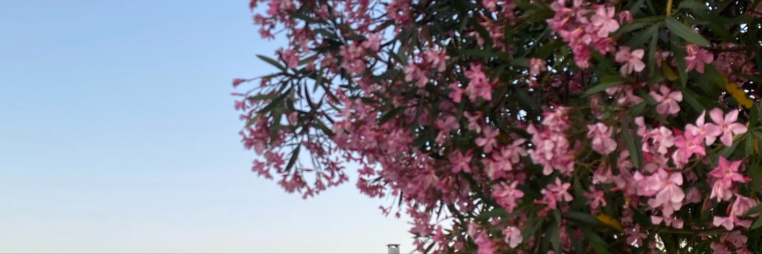 SofiNicoleee's profile banner image