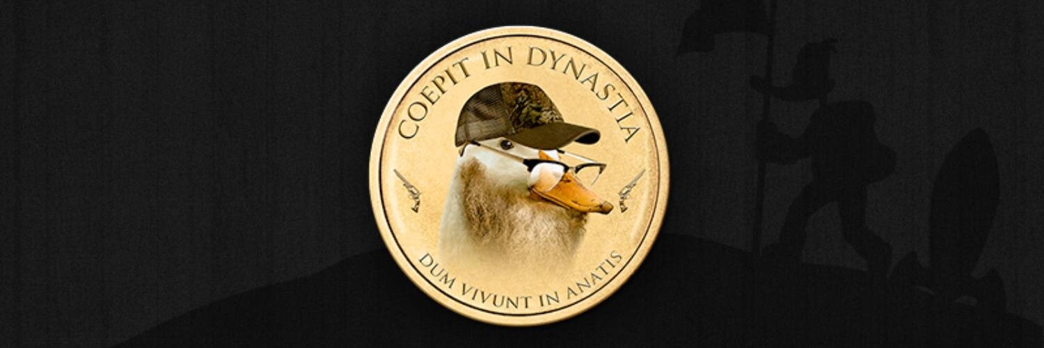 duckcoinbuzz's profile banner image