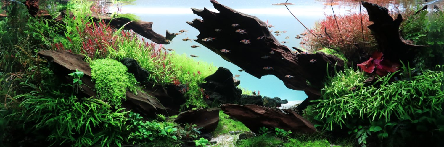 haseyash's profile banner image