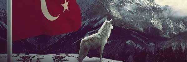 Cevdet89's profile banner image