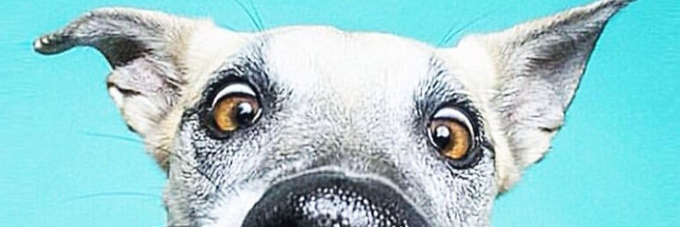 nagel905's profile banner image