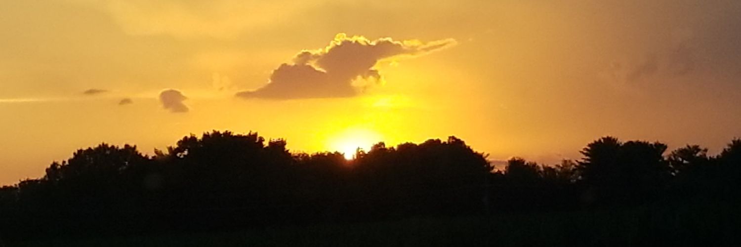 lflow009's profile banner image