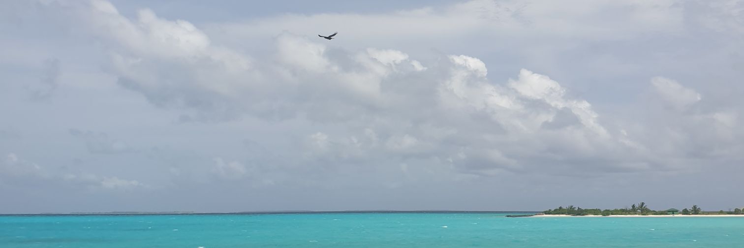 ayyax17's profile banner image