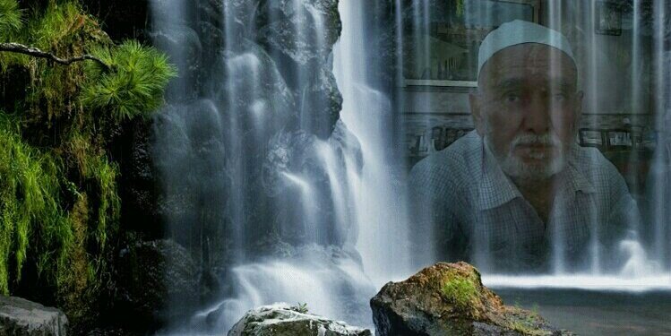 shaimaa_sr's profile banner image