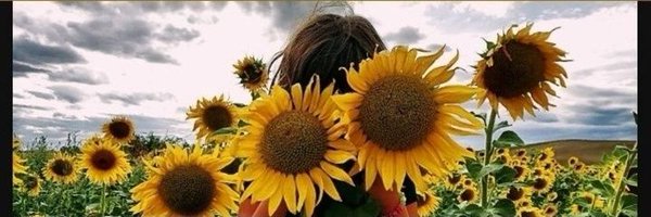 xavierdme Profile Banner