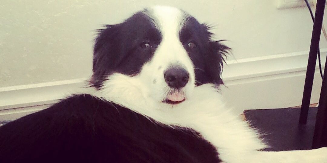 sunshine state of mind. ♬ banner