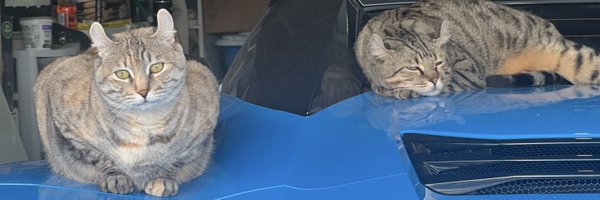 nawwds Profile Banner