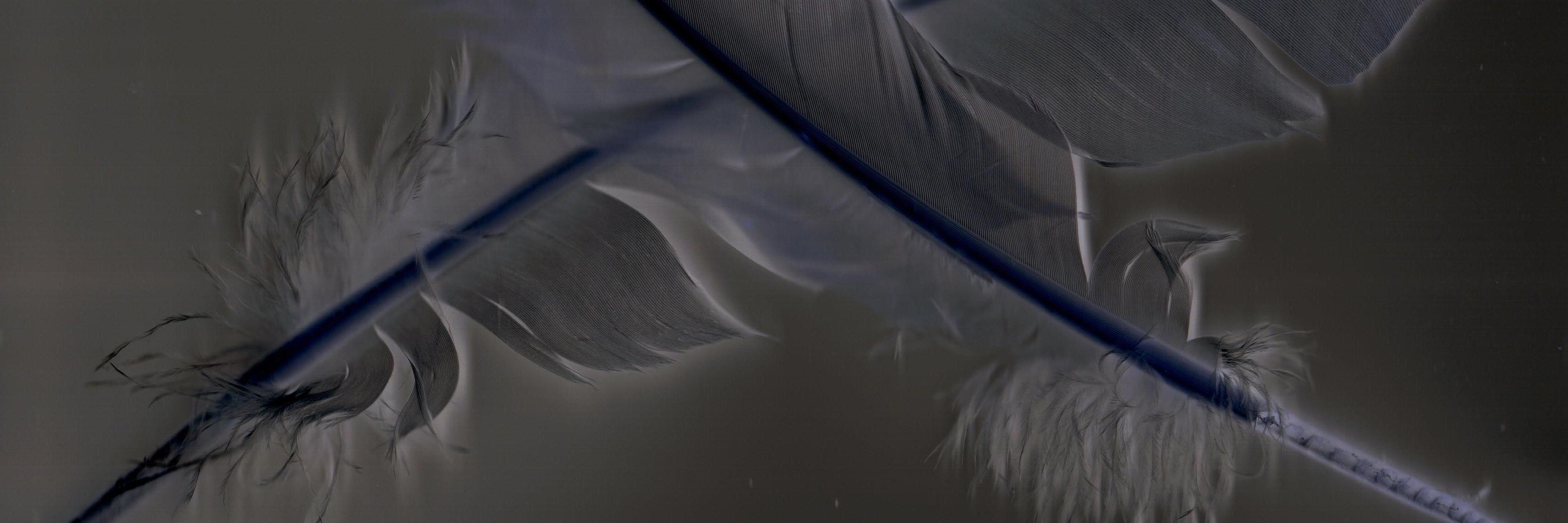 Harlot Music PR banner