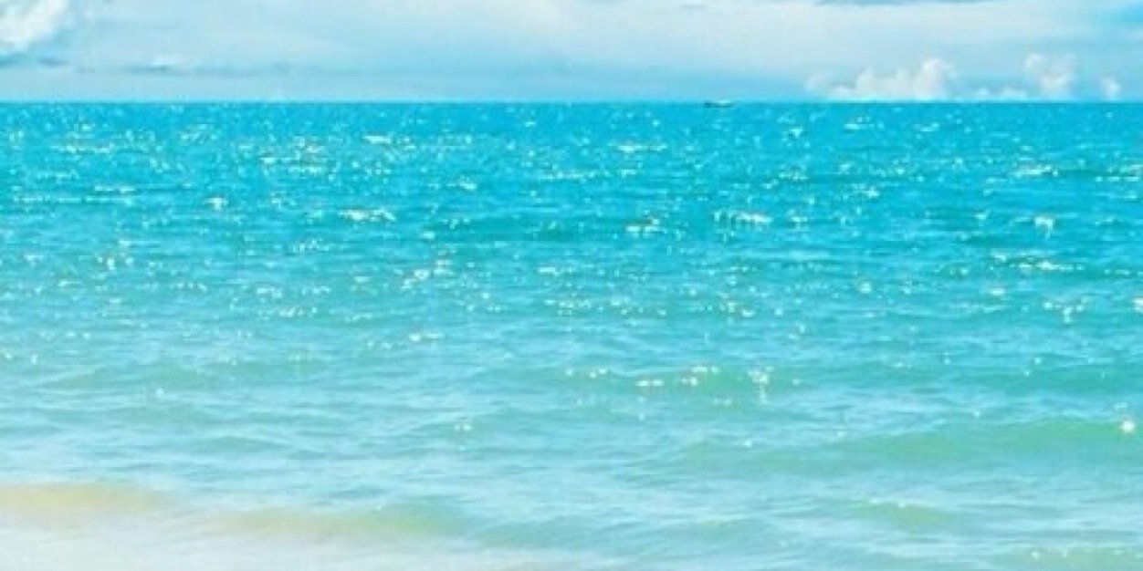 ayarin14's profile banner image