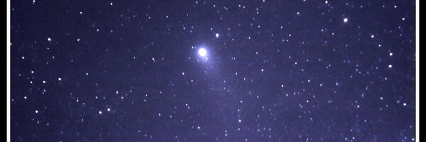 ChristineVial Profile Banner