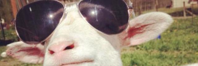 jammy_buggar's profile banner image