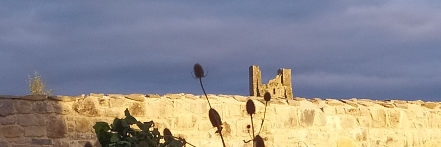 louisajanemoss's profile banner image