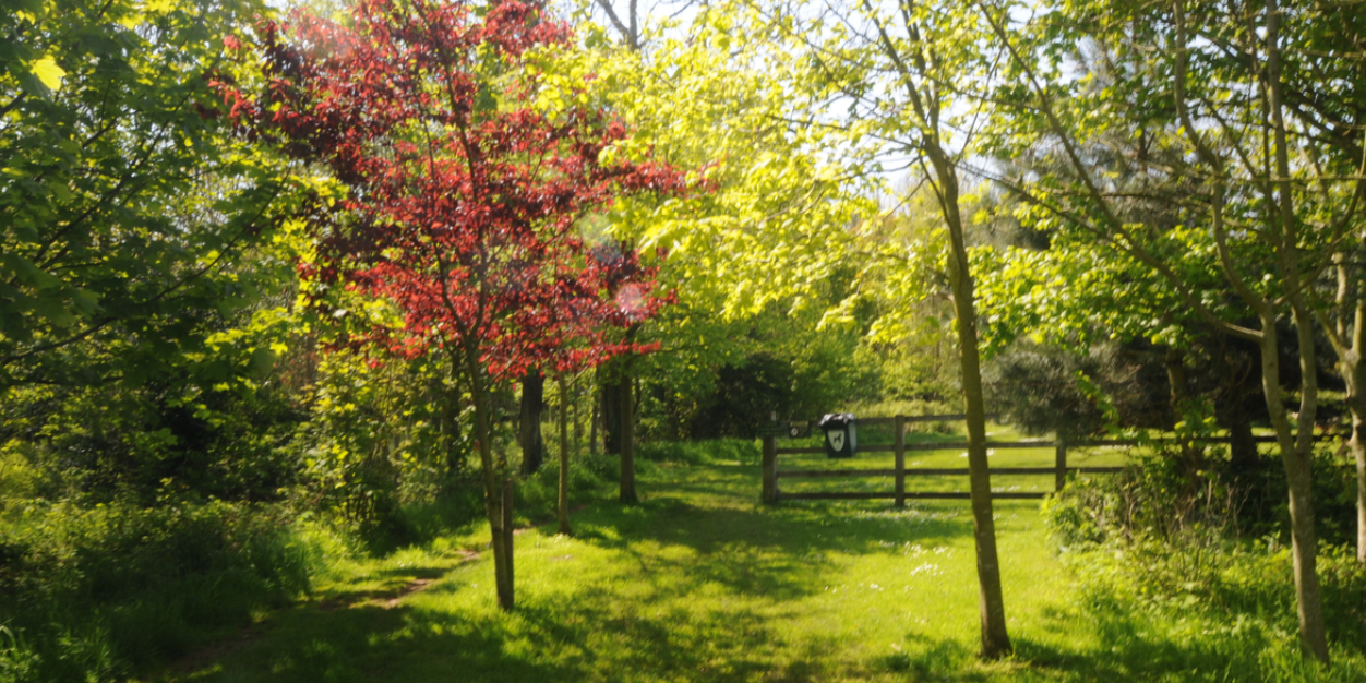 SouthMeadows1's profile banner image