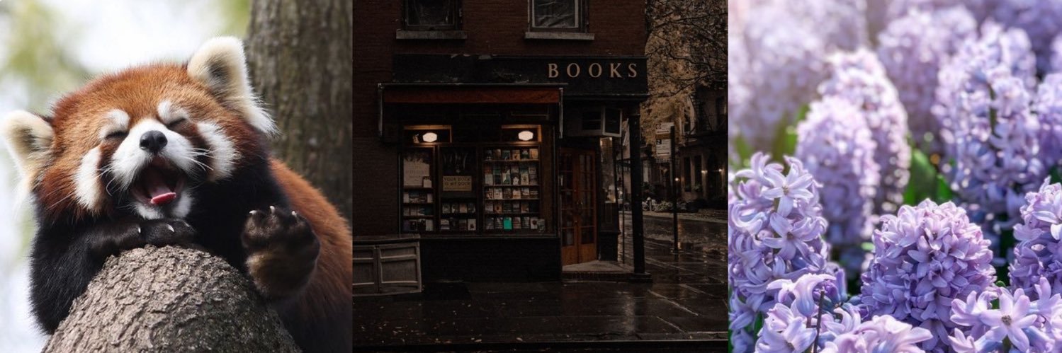 ghostbrew_'s profile banner image