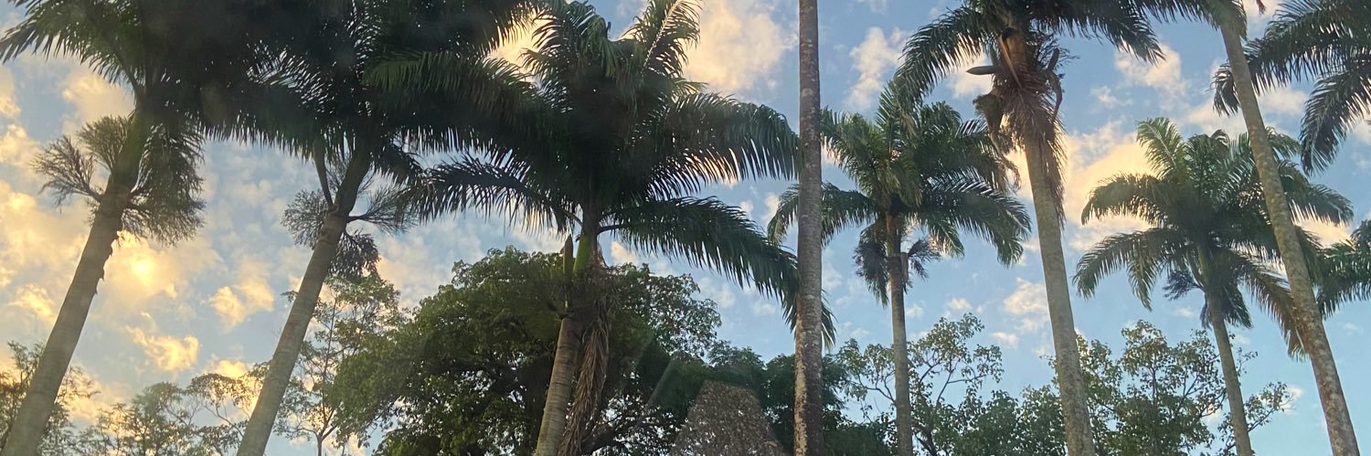 beccarodriguees's profile banner image