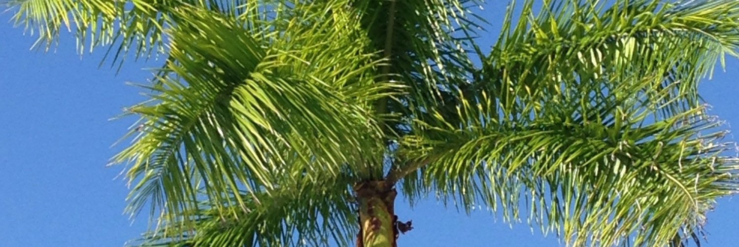 roodeeloo's profile banner image