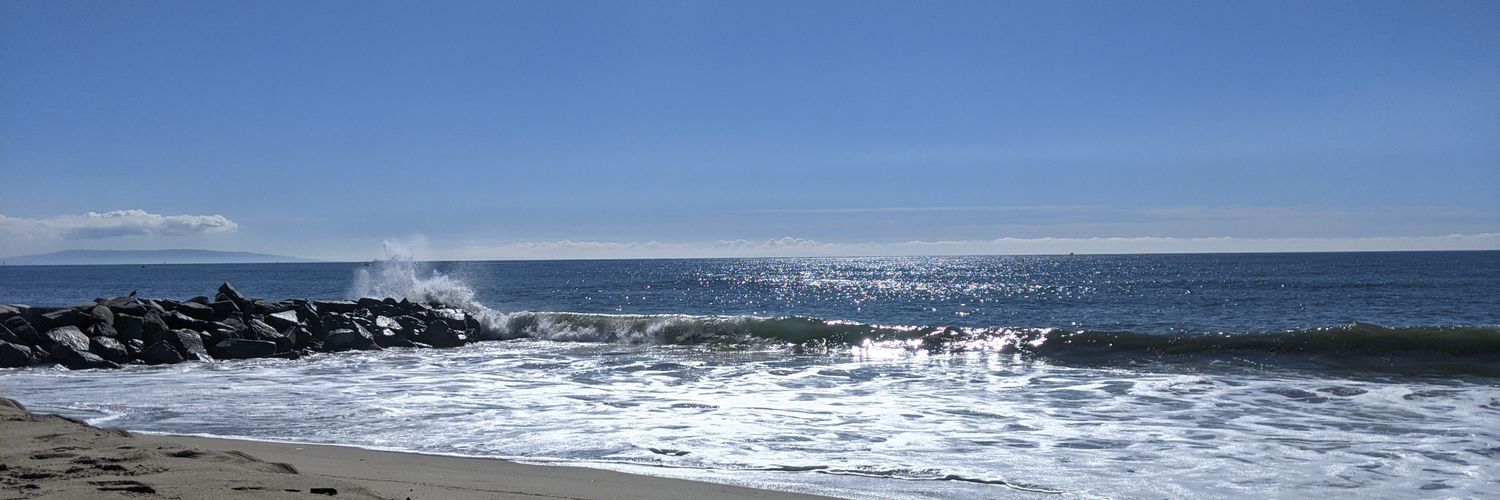 Evanne Elizabeth Friedmann banner