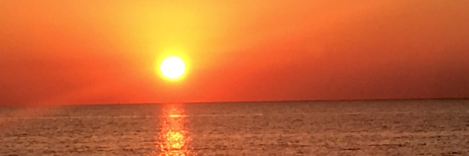 ssegner's profile banner image