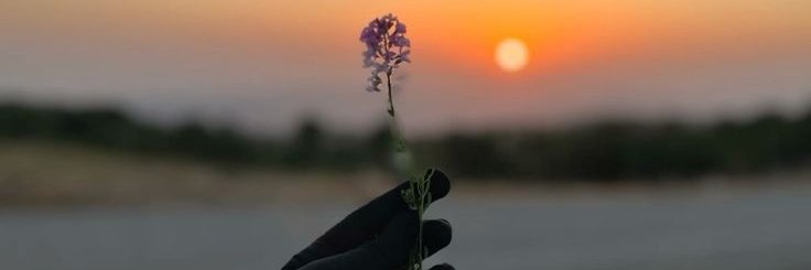 oumi_abi's profile banner image