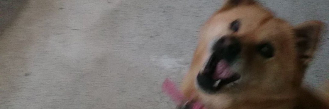 souheiapple's profile banner image